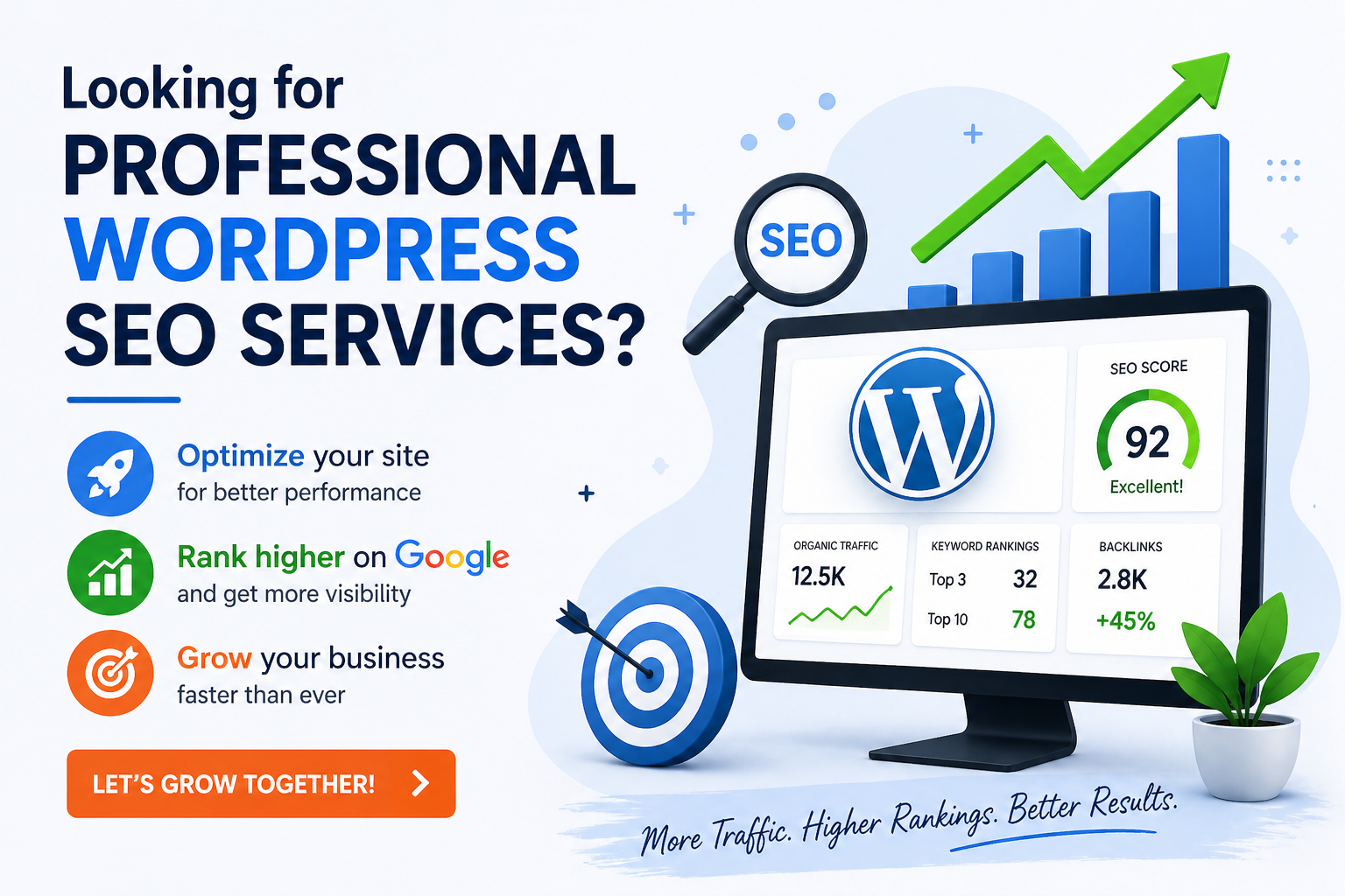 Sabbir the WordPress SEO Expert
